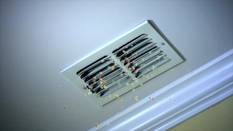 Best Ductwork Cleaning Services  in Waterloo, IA